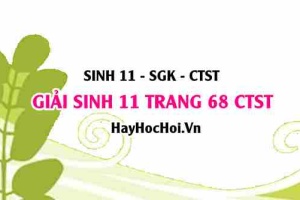 Giải Sinh 11 trang 68 Chân trời sáng tạo SGK